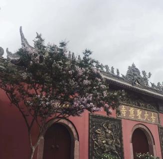 NG28：助力公益活动建设，实现经济效益与社会效益的双赢！