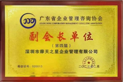 NG28荣获2021年度“广东省管理咨询行业50强”企业